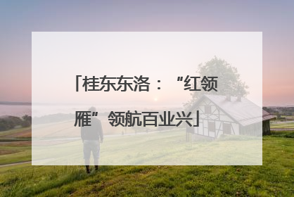 桂东东洛：“红领雁”领航百业兴
